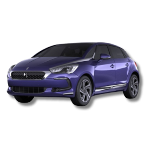 DS5
